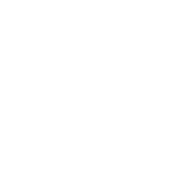 IZIDOR child welfare package graphic