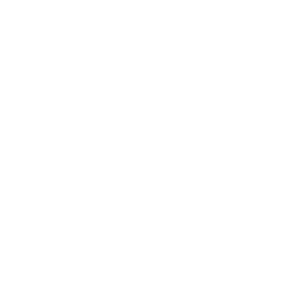 IZIDOR organization package